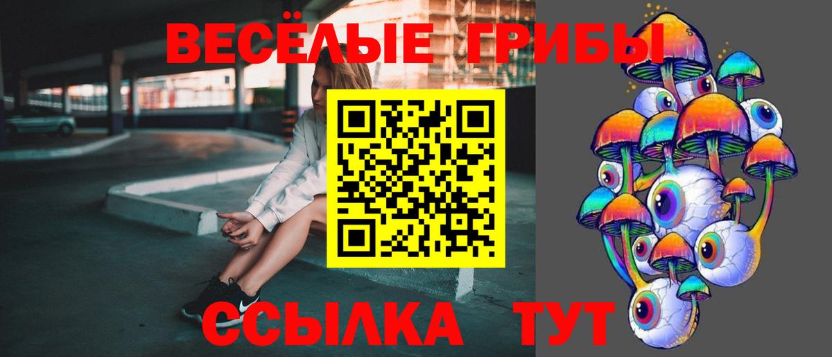 Хабаровск  Псилоцибиновые грибы Magic Shrooms  Псилоцибиновые грибы Psilocybe  Вход с VPN 